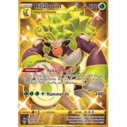DAA 197 - Rillaboom 197/189 Rillaboom