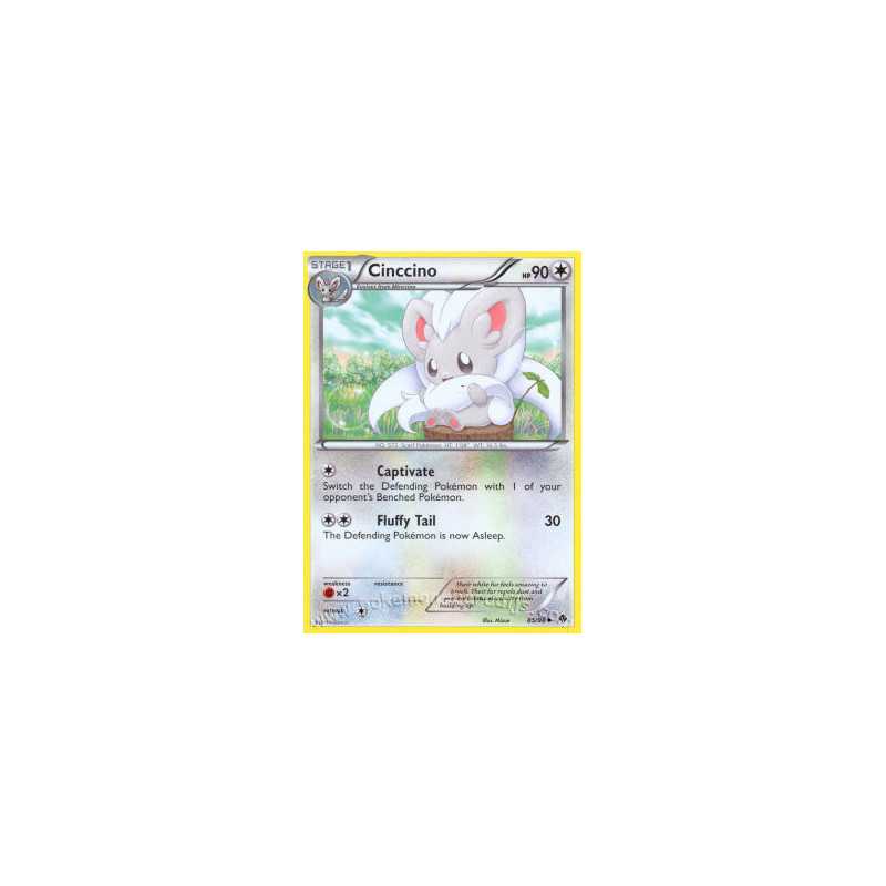 Cinccino