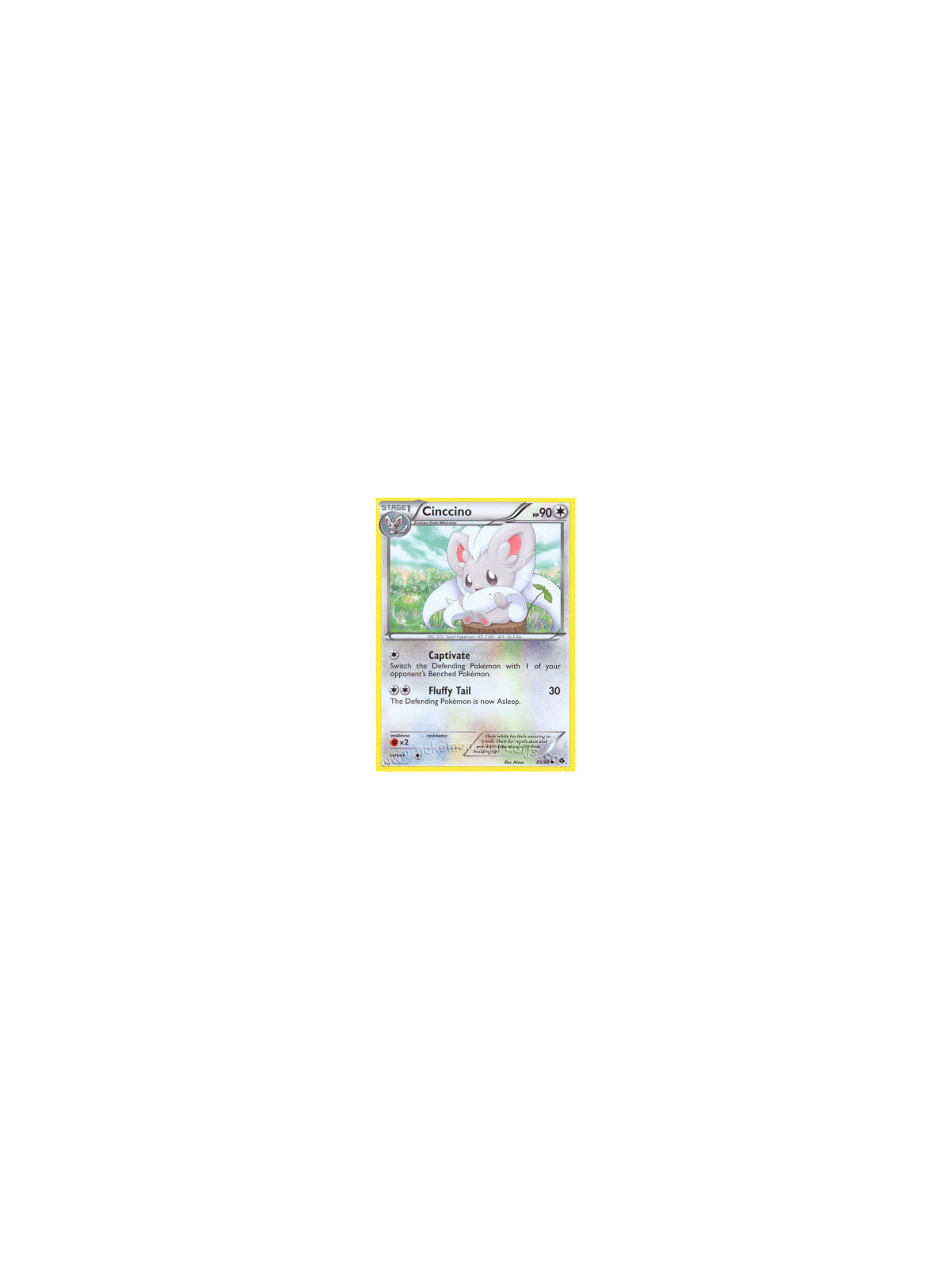 Cinccino