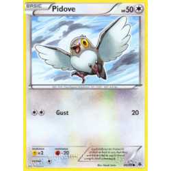 Pidove