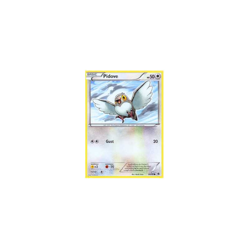Pidove
