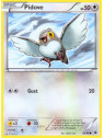 Pidove
