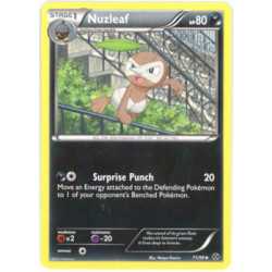 NXD 071 - Nuzleaf Nuzleaf