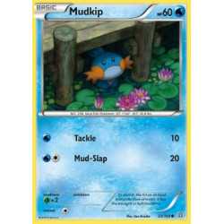 PRC 033 - Mudkip Mudkip