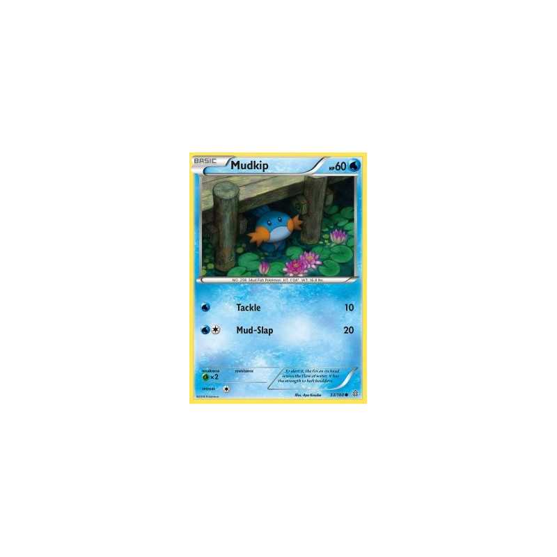 Mudkip 
