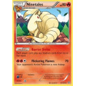 Ninetales