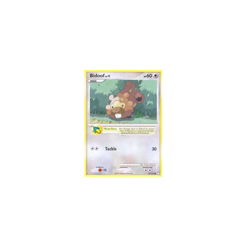 Bidoof Lv.11