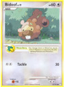 Bidoof Lv.11