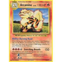 EVO 018 - Arcanine Arcanine
