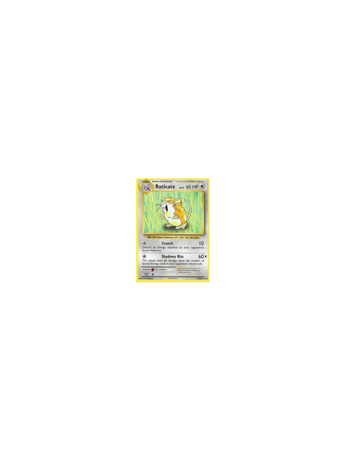 Raticate