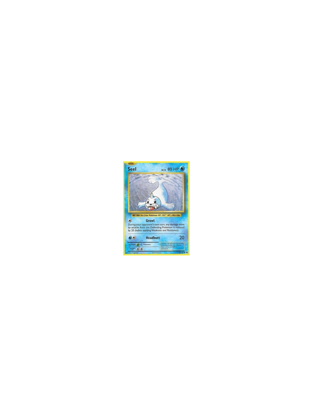 Seel