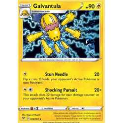 VIV 056 - Galvantula Galvantula
