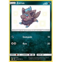 Zorua (HIF SV25)