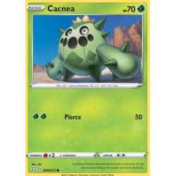 SHF 004 - Cacnea Cacnea (SHF 004)