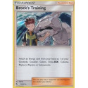 Brock's Training (HIF 055)