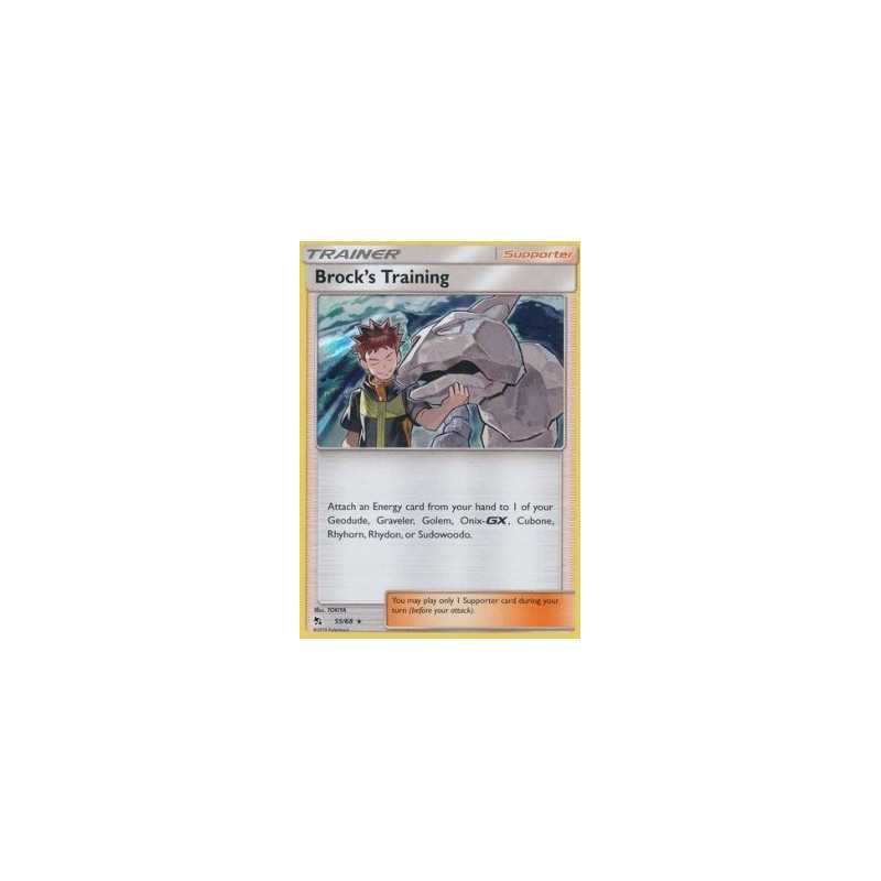 HIF 055 - Brock's TrainingHidden Fates Hidden Fates€ 0,20 Hidden Fates