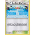 Misty's Cerulean City Gym (HIF 061)