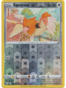 Spearow 