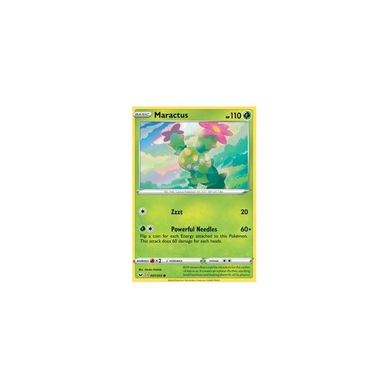 Maractus (SSH 007)