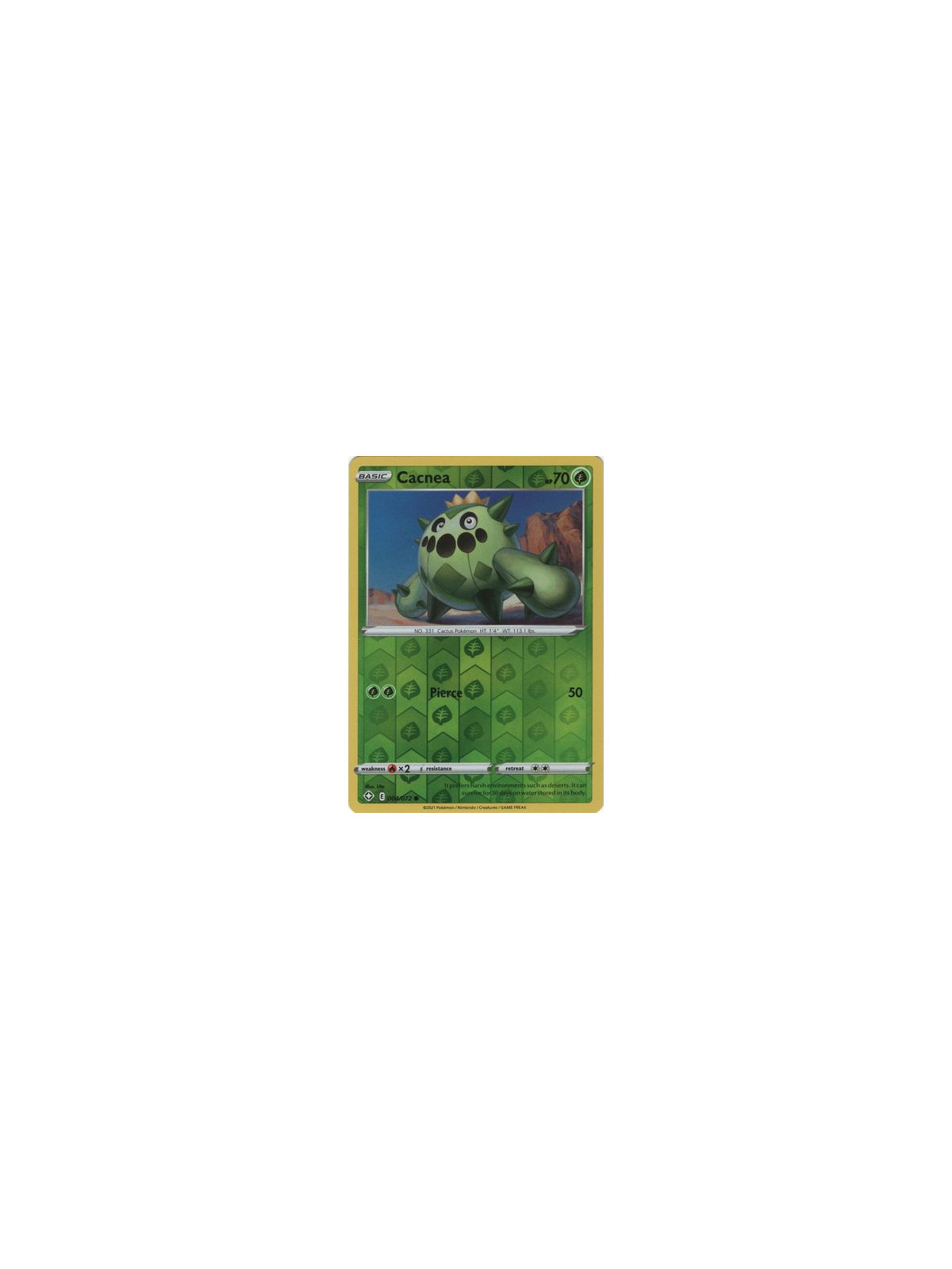 Cacnea (SHF 004)