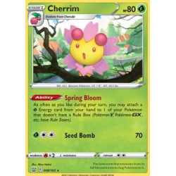 BST 008 - Cherrim - Holo Cherrim