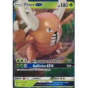 Pinsir GX (HIF 006)