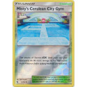 Misty's Cerulean City Gym (HIF 061)