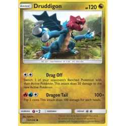 Druddigon (UNM 157)