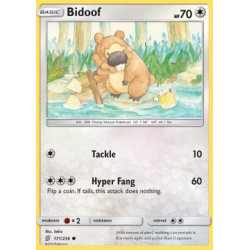 UNM 171 - Bidoof Bidoof (UNM 171)
