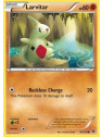 Larvitar (FCO 040)