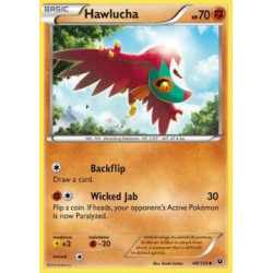 FCO 048 - Hawlucha Hawlucha (FCO 048)