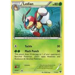 Ledian (XY 007) Ledian (XY 007)