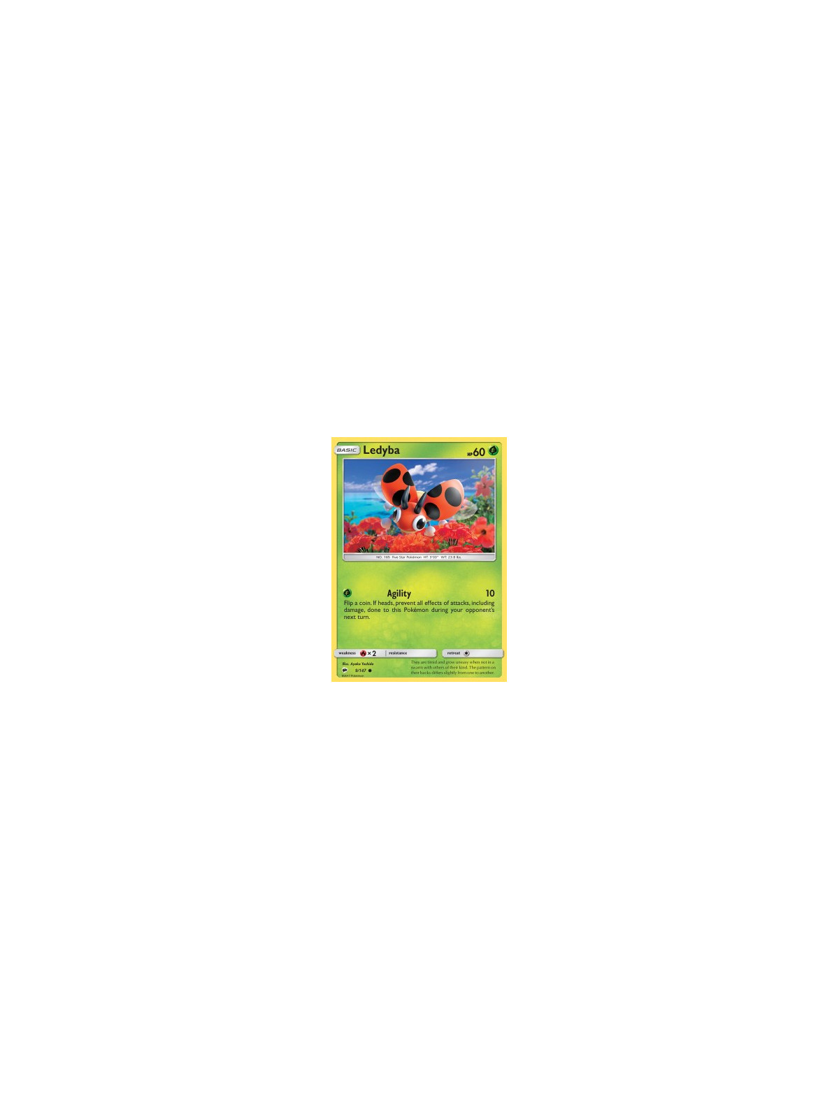 Ledyba (BUS 009)