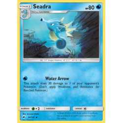 BUS 030 - Seadra Seadra (BUS 030)