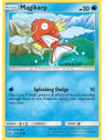 Magikarp (BUS 032)