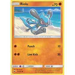 BUS 070 - Riolu Riolu (BUS 070)