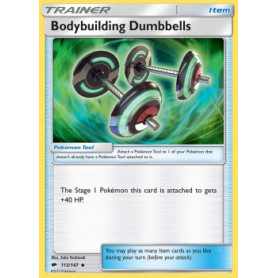 Bodybuilding Dumbbells (BUS 113)