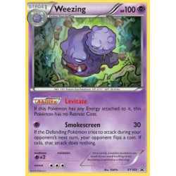XYPR 163 - Weezing Weezing (XYPR 163)