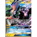 SM 050 - Tapu Koko GXSM Black Star Promo's SWSH Black Star Promos€ 2,99 SM Black Star Promo's