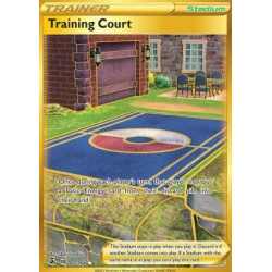 FST 282 - Training Court FST 282/264 � Training Court