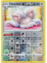SSH 147 - Cinccino