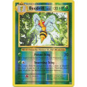 EVO 007 - Beedrill - Reverse Holo