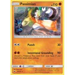 BUS 079 - Passimian BUS 079/147 - Passimian