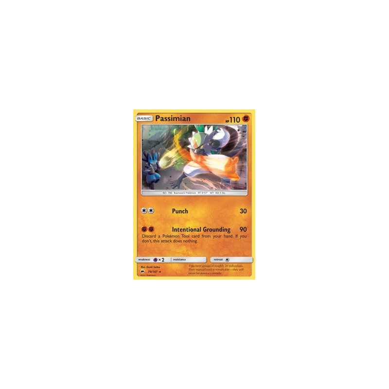 BUS 079/147 - Passimian