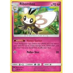 BUS 096/147 - Ribombee