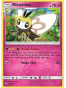 BUS 096/147 - Ribombee