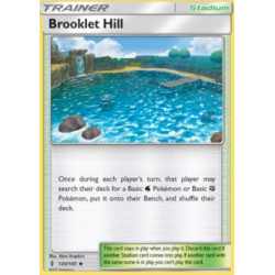 GRI 120/145 - Brooklet Hill