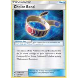 GRI 121/145 - Choice Band GRI 121/145 - Choice Band