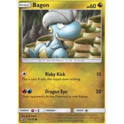 DRM 042 - Bagon drm-042 Bagon