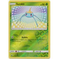 CES 015 - Surskit